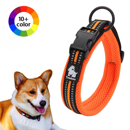 Winhyepet Padded Nylon Dog Collar With Secure Breakaway Buckle