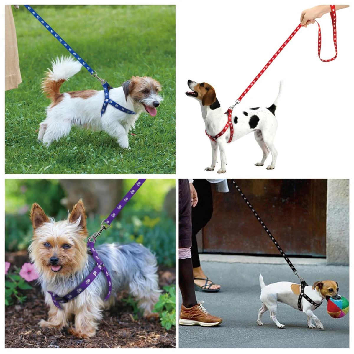 Nylon Paw Print Dog Harness And Leash Set Adjustable