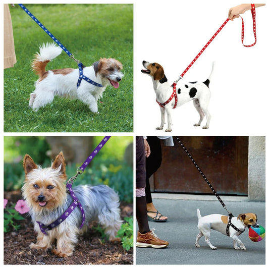 Nylon Paw Print Dog Harness And Leash Set Adjustable