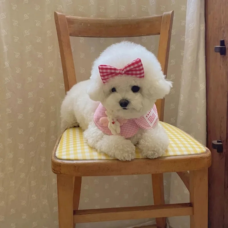 Joaninpet Plaid Rabbit Cape And Pet Scarf For Dogs