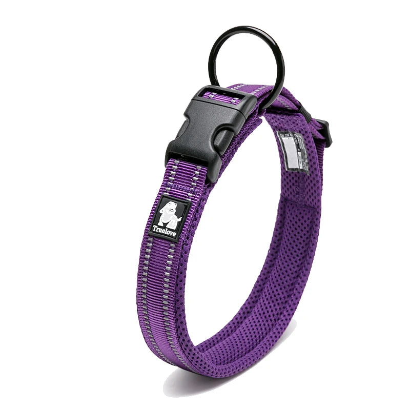 Winhyepet Padded Nylon Dog Collar With Secure Breakaway Buckle
