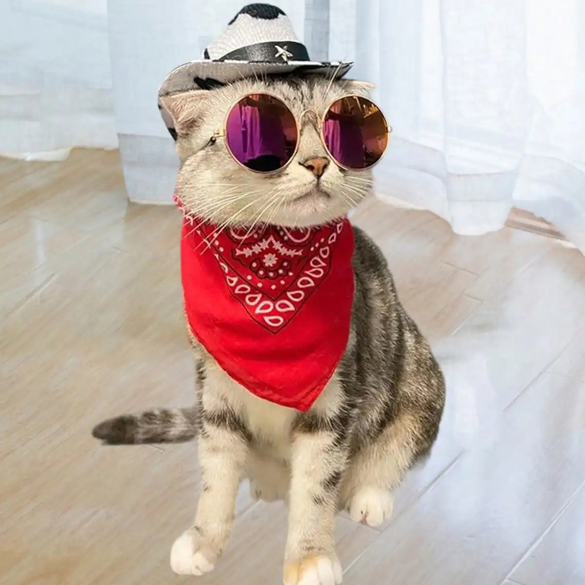 Dog Cowgirl Costume Pet Halloween Costumes Western Hat Bandana And Glasses Set For Dogs Cats