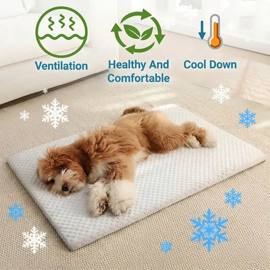 Cooling Sponge Cat Bed With Thick Padding And Washable Design
