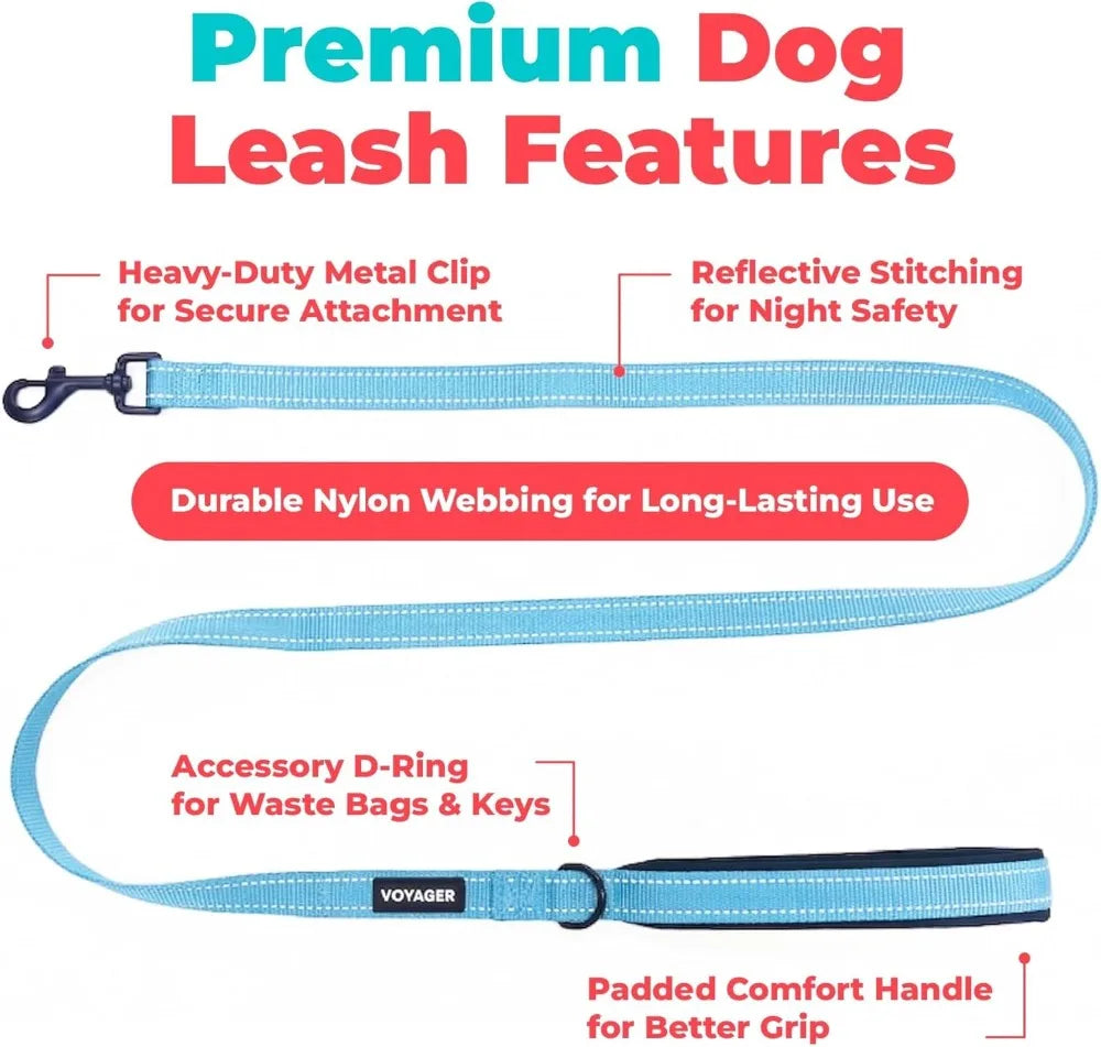 Reflective Neoprene Handle Heavy Duty Nylon Dog Leash