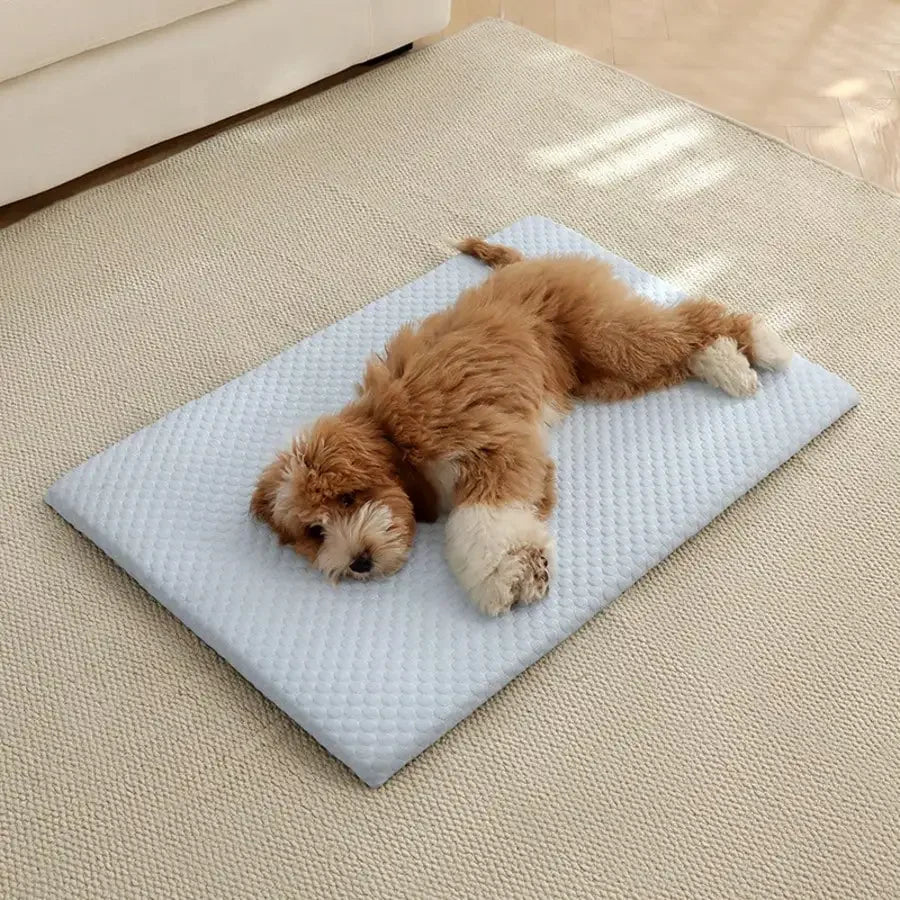 Cooling Sponge Cat Bed With Thick Padding And Washable Design