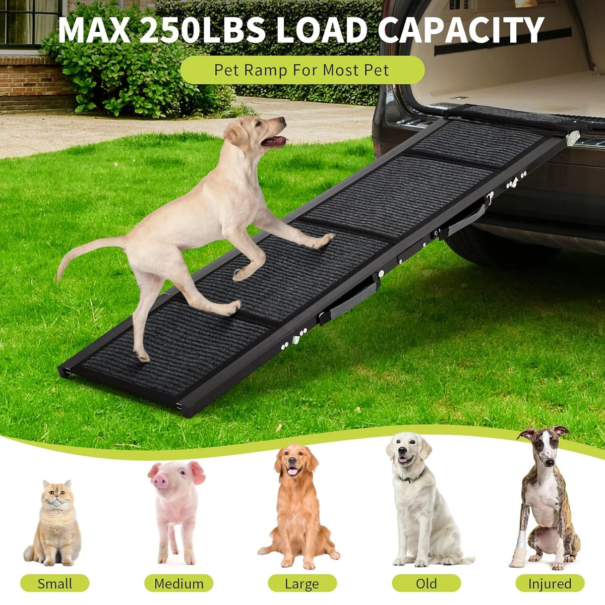 HiMISS Folding Car Dog Ramp With Nonslip Surface