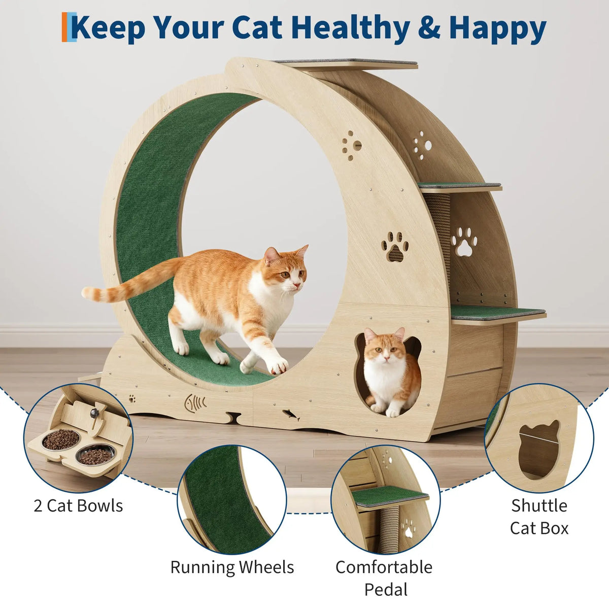 HiMiss 6 In 1 Cat Exercise Wheel With Integrated Scratcher