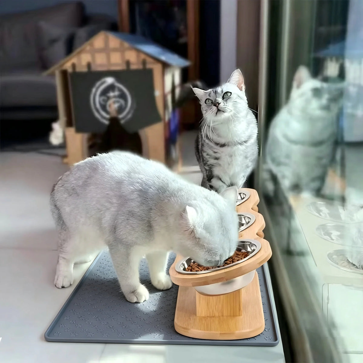 Raised Cat Feeder With Three Stainless Bowls And Tilted Stand