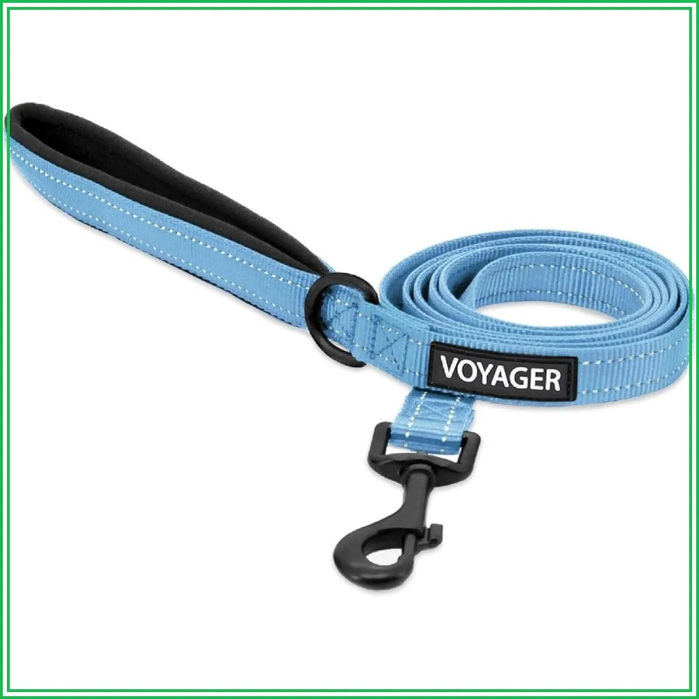 Reflective Neoprene Handle Heavy Duty Nylon Dog Leash