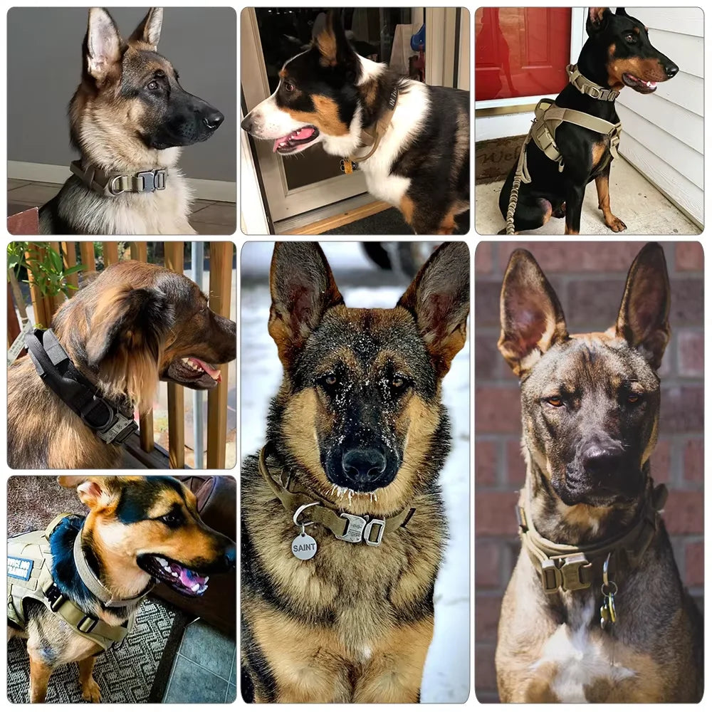 Adjustable Tactical Dog Collar and Leash Set