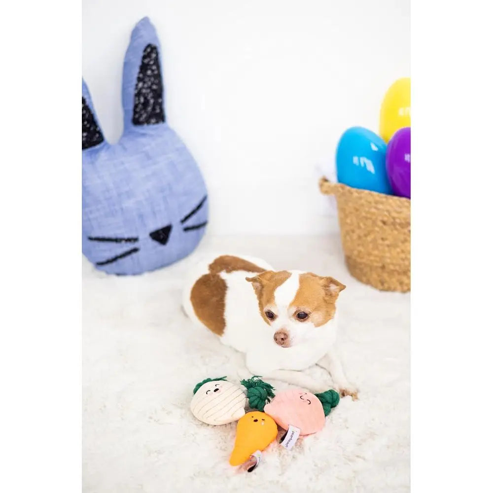 Garden Veggies Dog Toys, Plush Squeaky Rope Dog Toys, Radish Carrot & Turnip Vegetable Dog Toy Set, Loud Squeakers, Set of 3