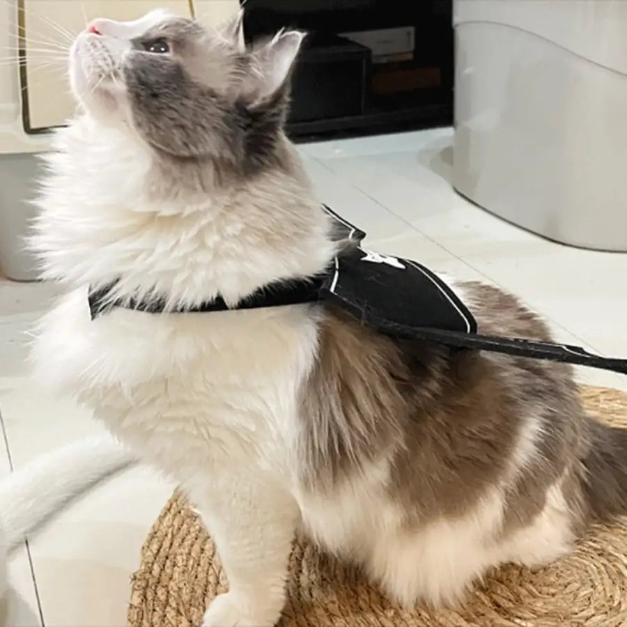Halloween Bat Wings Costume: Funny Devil Print For Cats Dogs, Perfect For Party