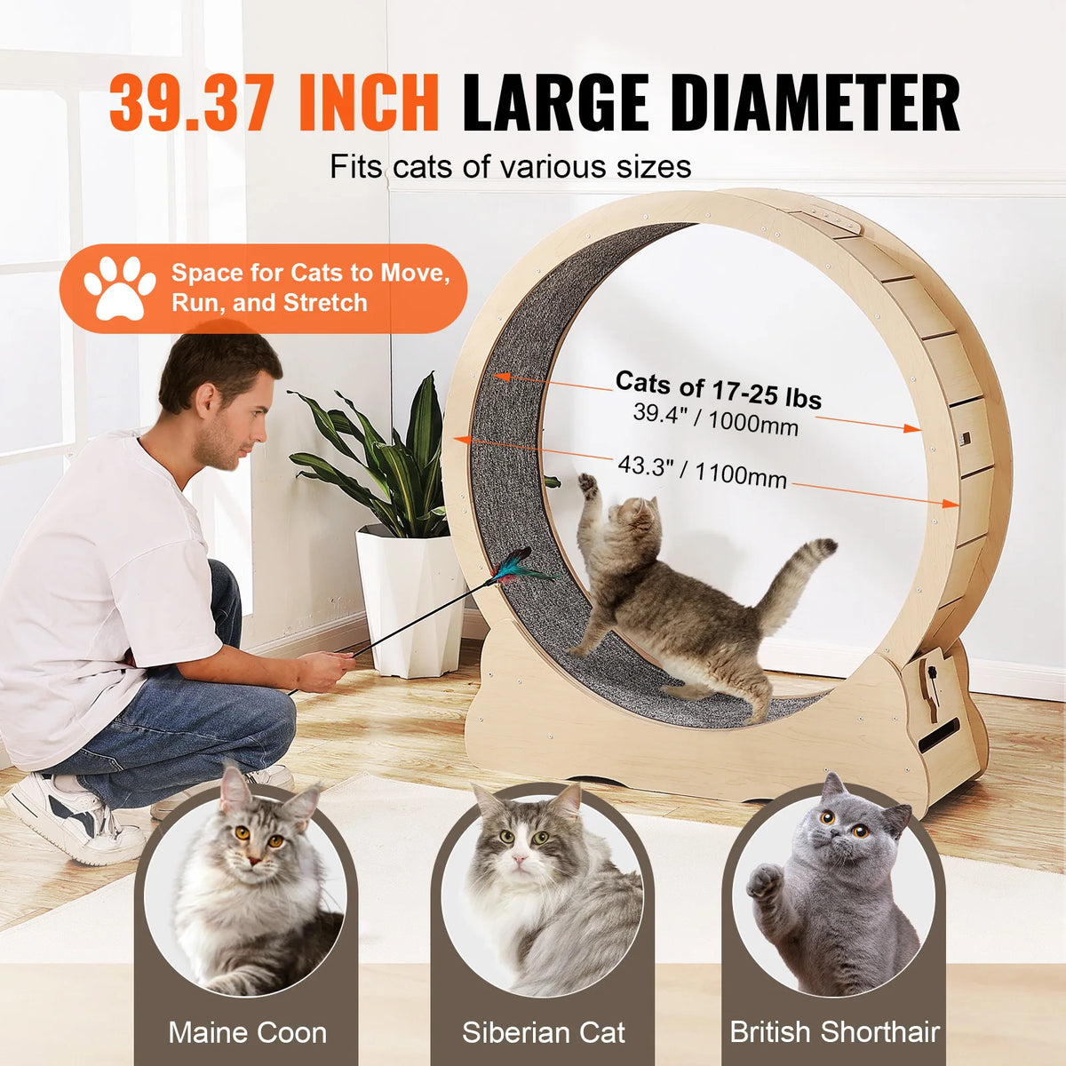 Wooden Cat Exercise Wheel With Detachable Carpet