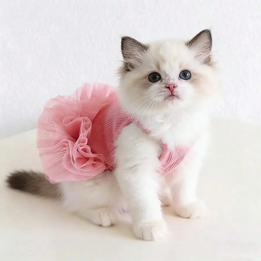 Dog Tutu Dress Valentine Day Outfit For Pets