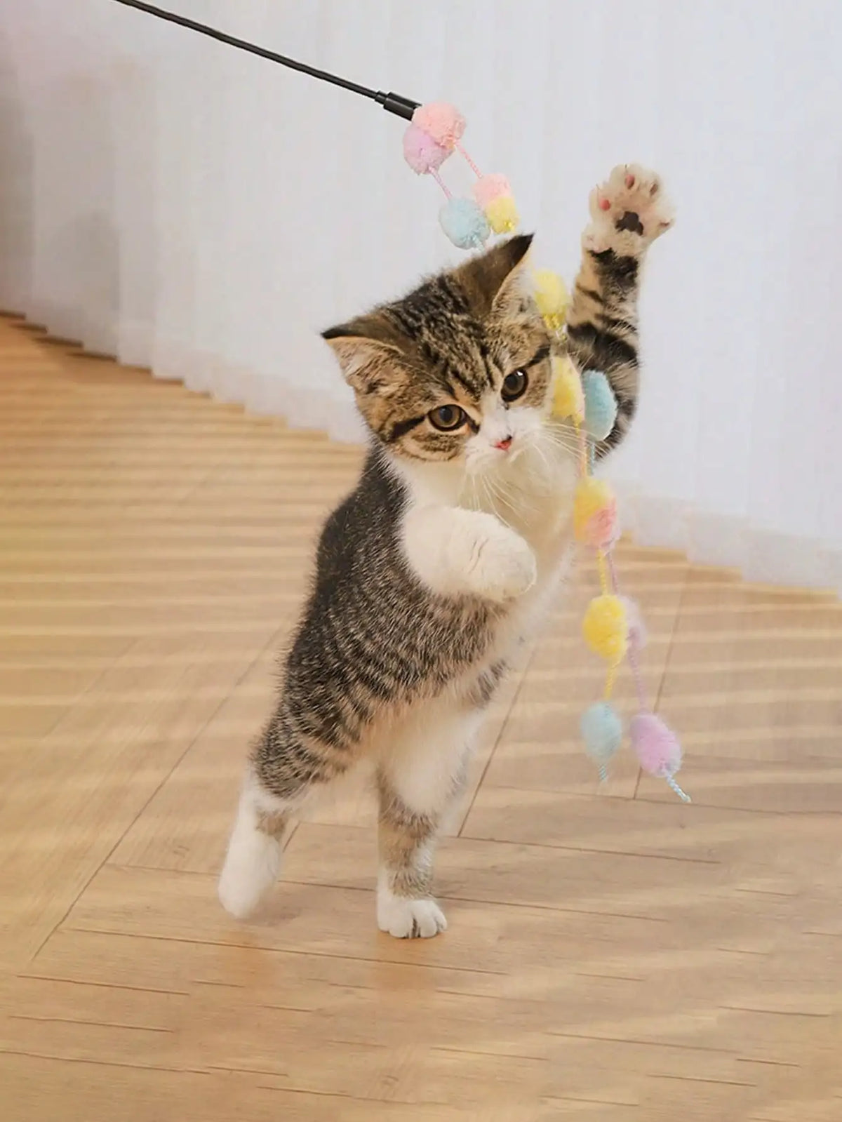 Cat Teaser Sticks With Bell, Interactive Pet Toy
