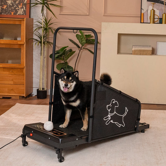 Indoor Dog Treadmill With Quiet Motor And Safety Rails