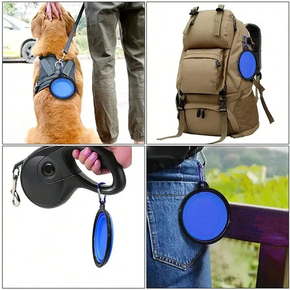 Portable Folding Silicone Pet Feeder Bowl With Carabiner