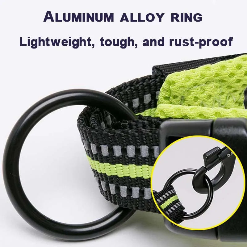 Winhyepet Padded Nylon Dog Collar With Secure Breakaway Buckle