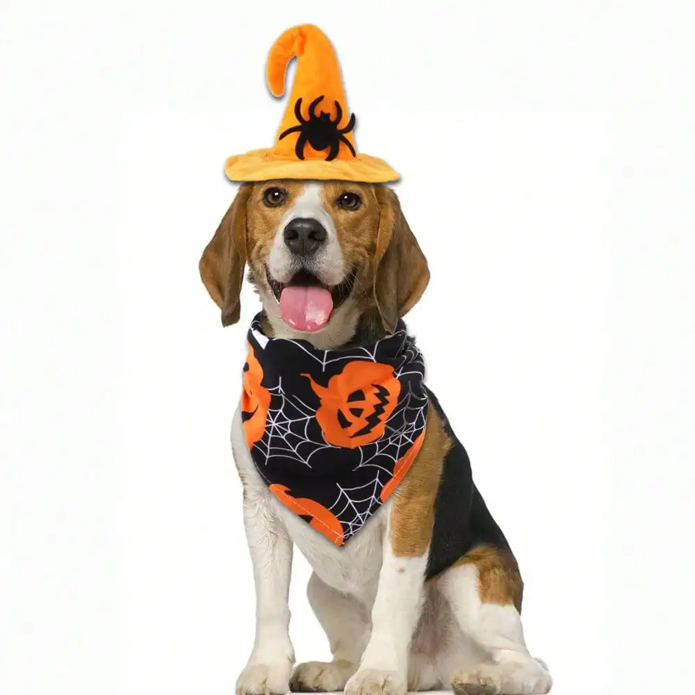 Halloween Pet Witch Hat Bandana Set Bat Pumpkin Print Adjustable Small Dogs Cats Holiday Cosplay Costume