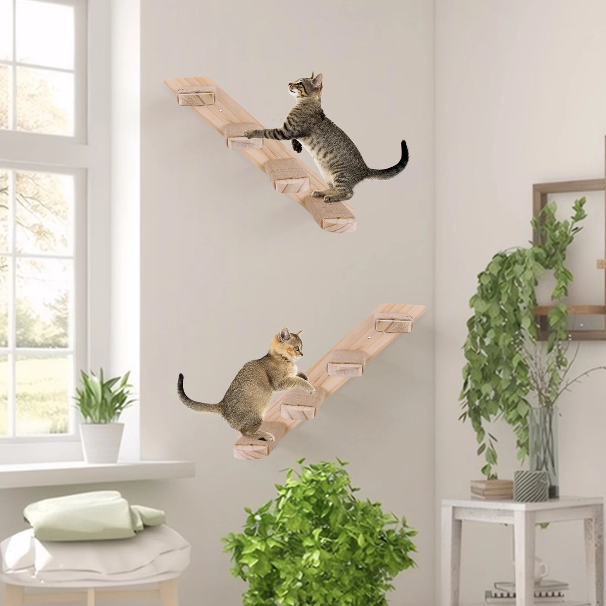 Wall Mounted Wooden Cat Climbing Shelf Four Step Ladder Perch