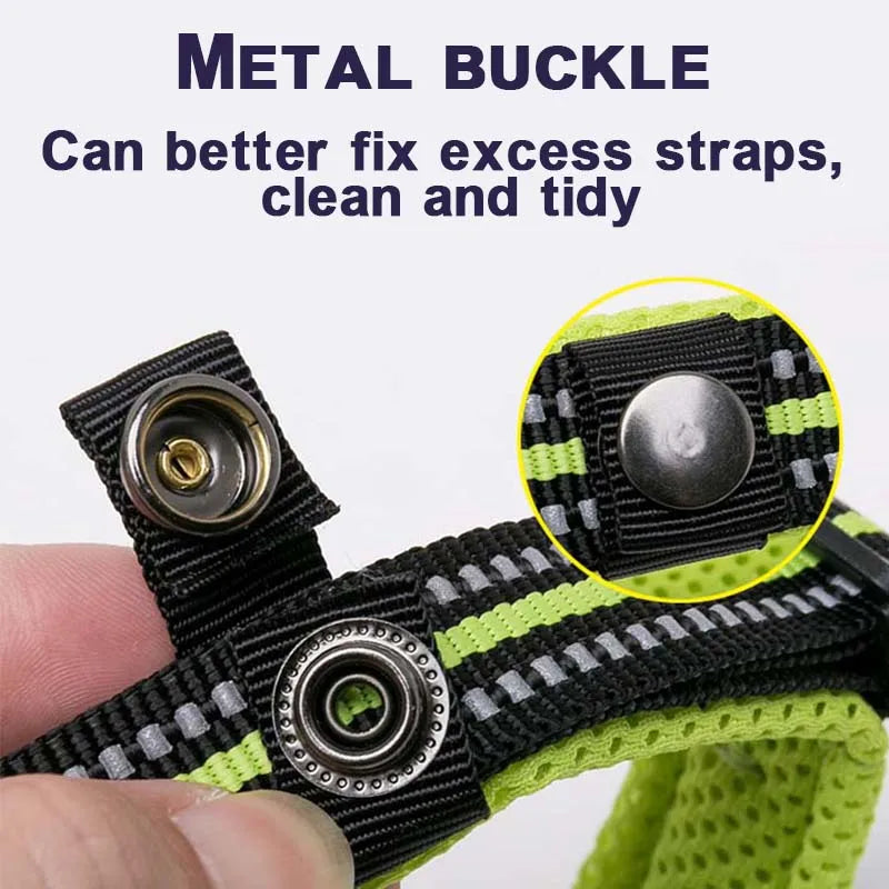 Winhyepet Padded Nylon Dog Collar With Secure Breakaway Buckle