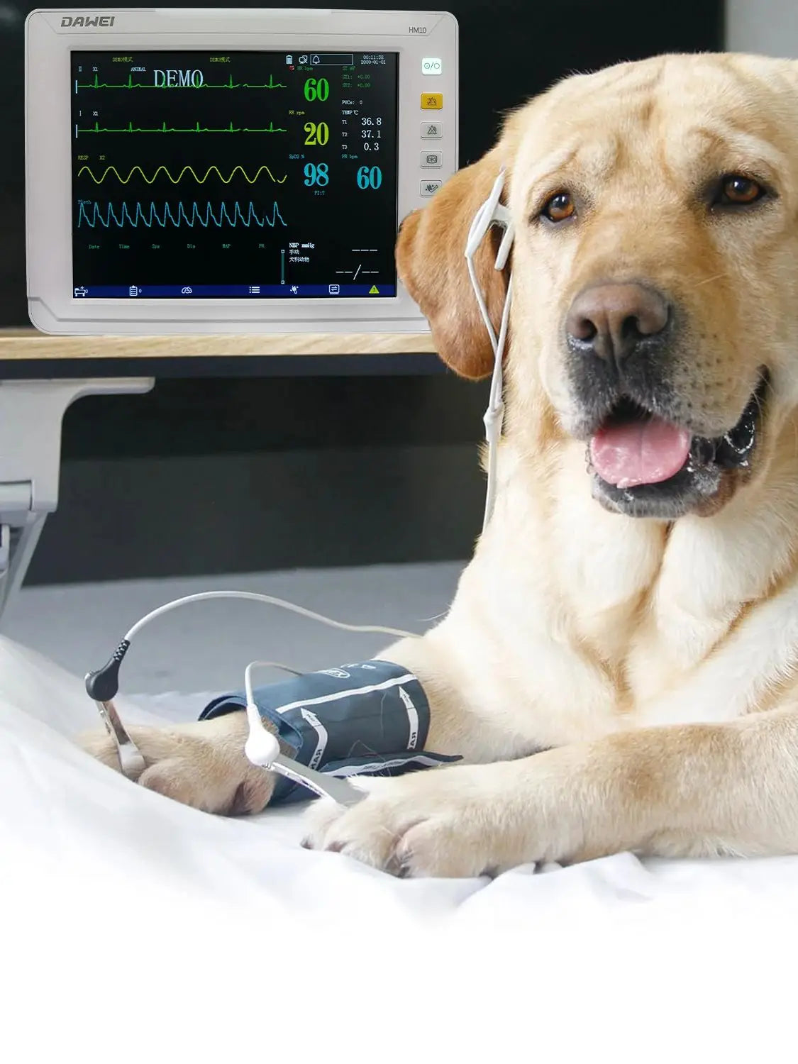 DAWEI Portable Veterinary Monitor 6 Parameter
