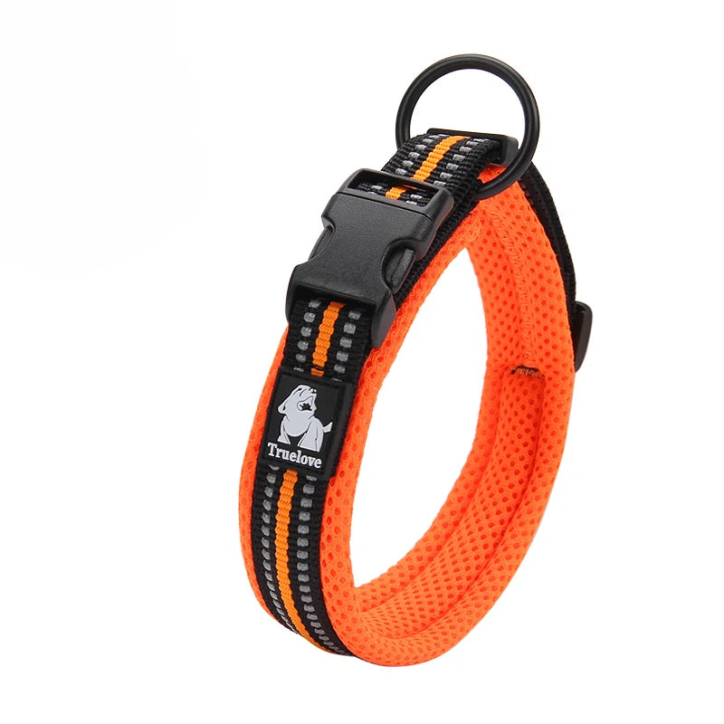 Winhyepet Padded Nylon Dog Collar With Secure Breakaway Buckle