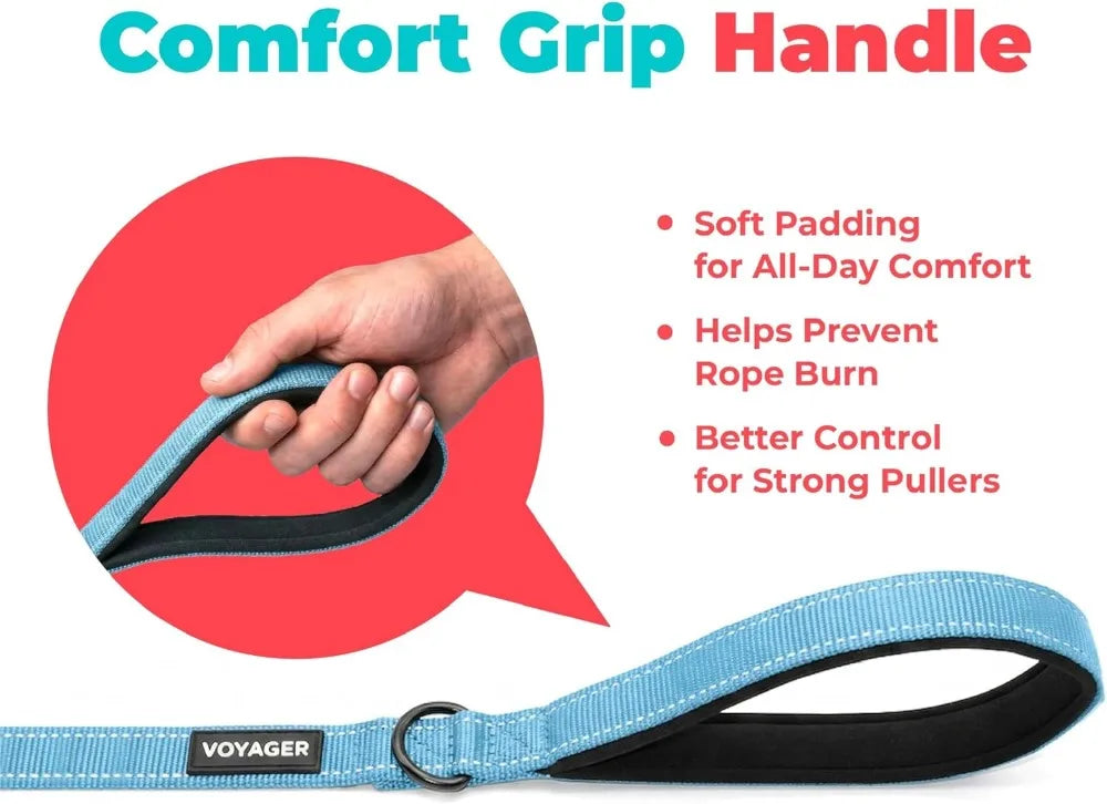 Reflective Neoprene Handle Heavy Duty Nylon Dog Leash