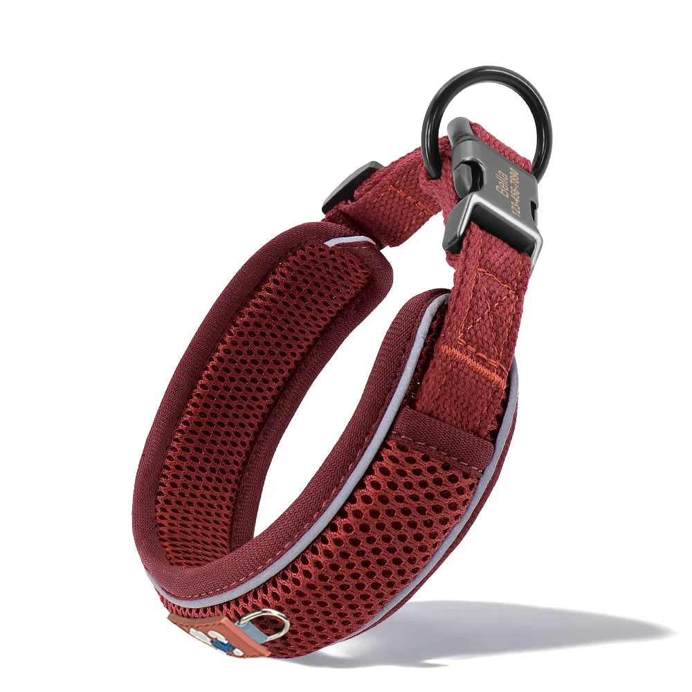 Personalized Mesh Dog Collar Breathable Reflective With Engraving