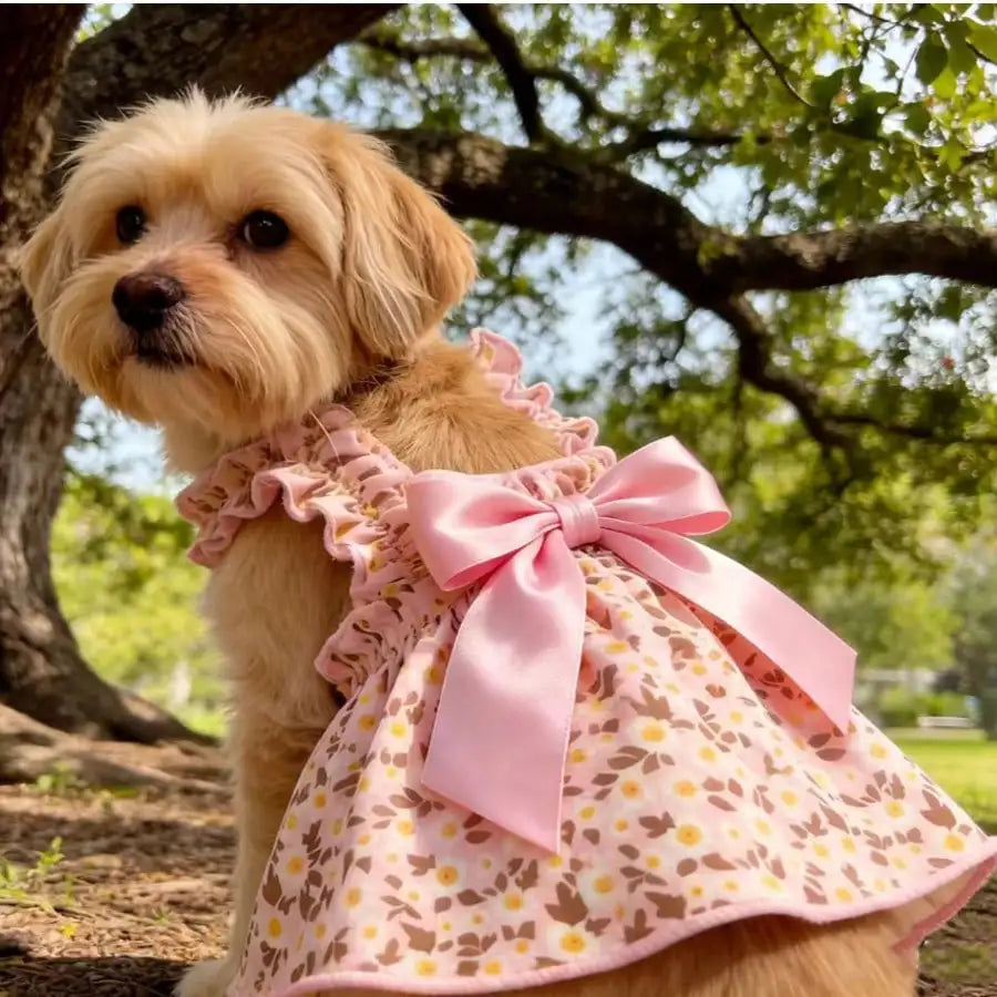 Ditsy Floral Sleeveless Pet Dress For Small Dogs And Cats
