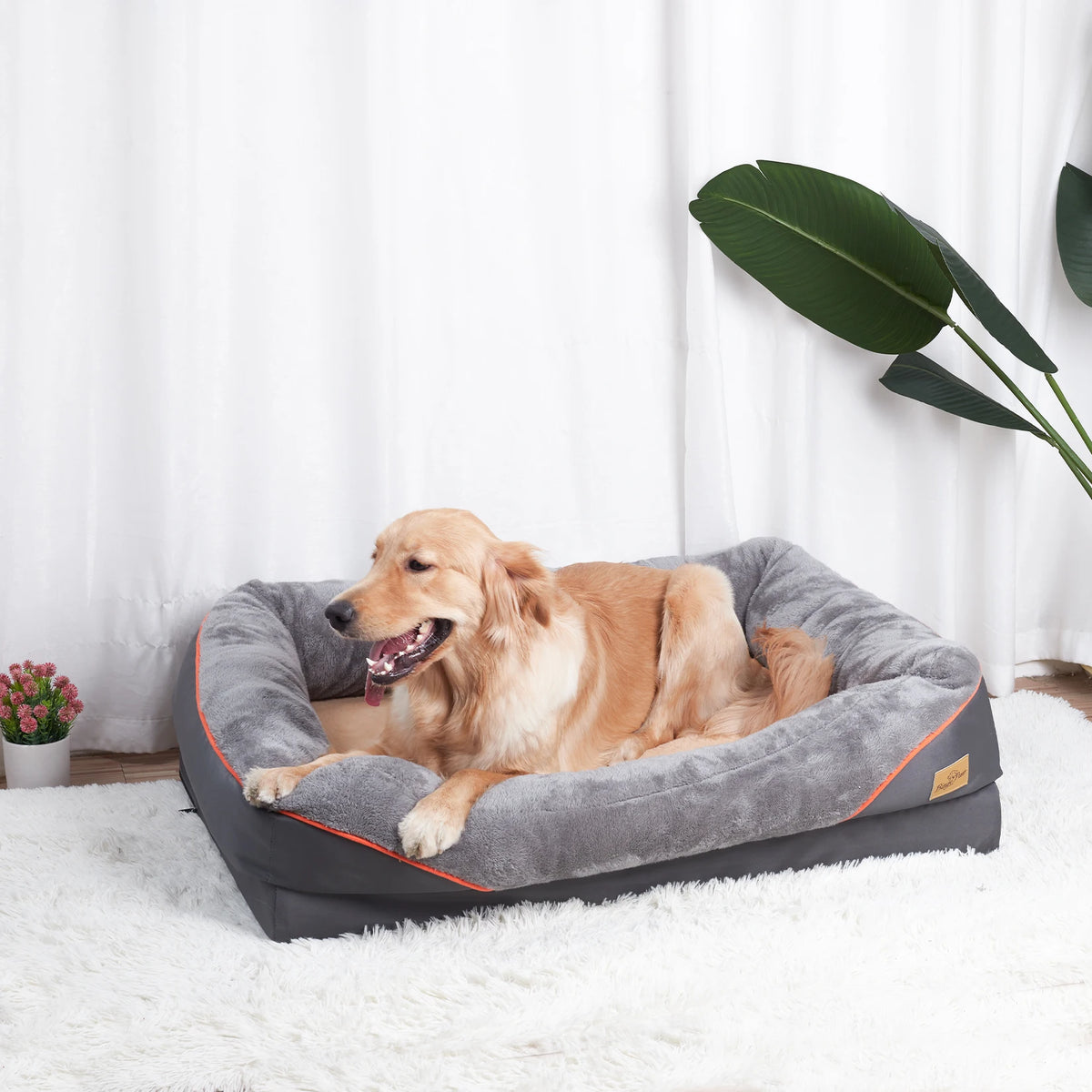 BINGOPAW Dog Bed Anti Allergy Waterproof With Removable Cover