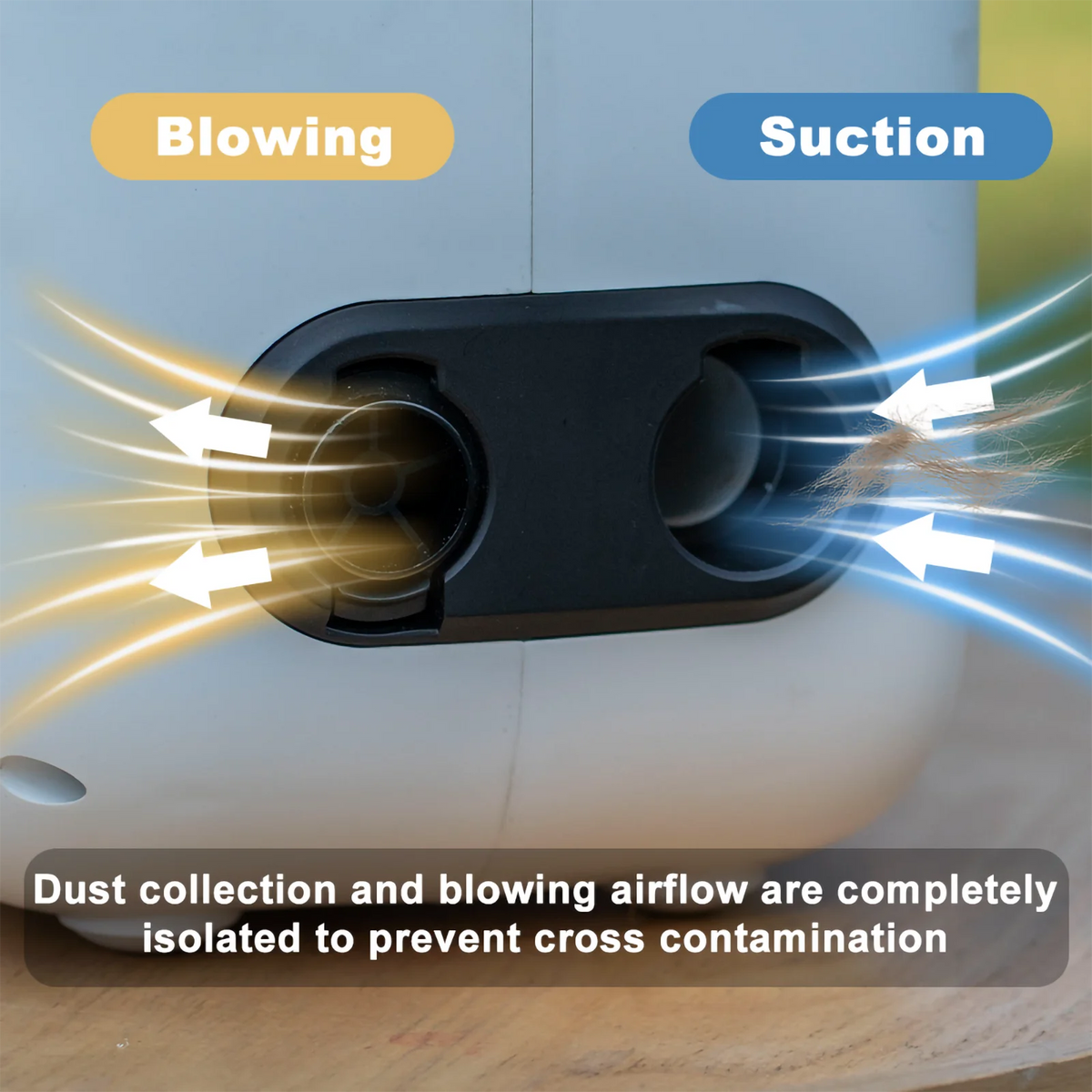 5-in-1 Quiet Pet Grooming Kit Vacuum Dryer Clipper for Dogs
