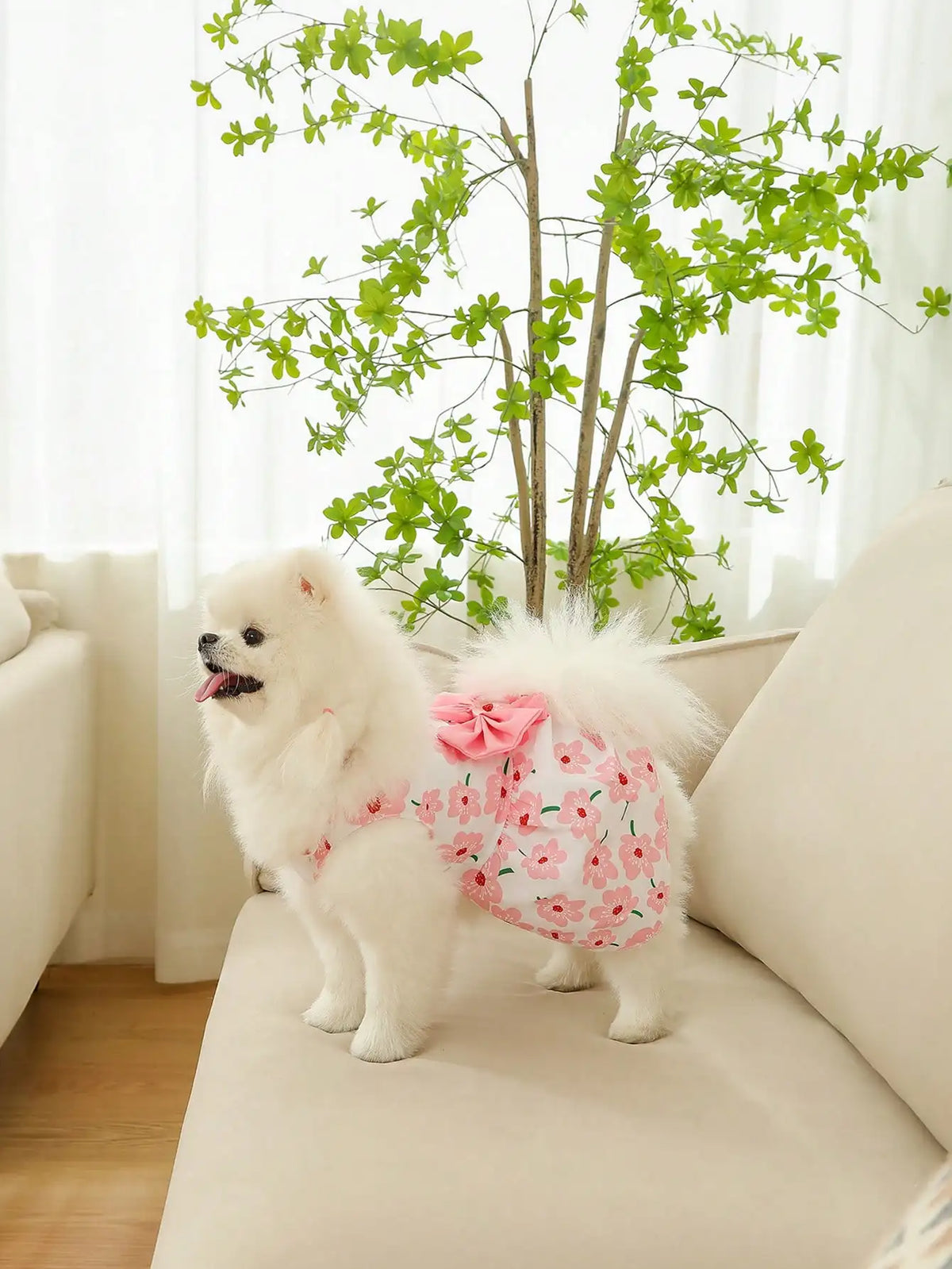 Strawberry Print Bow Dog Dress