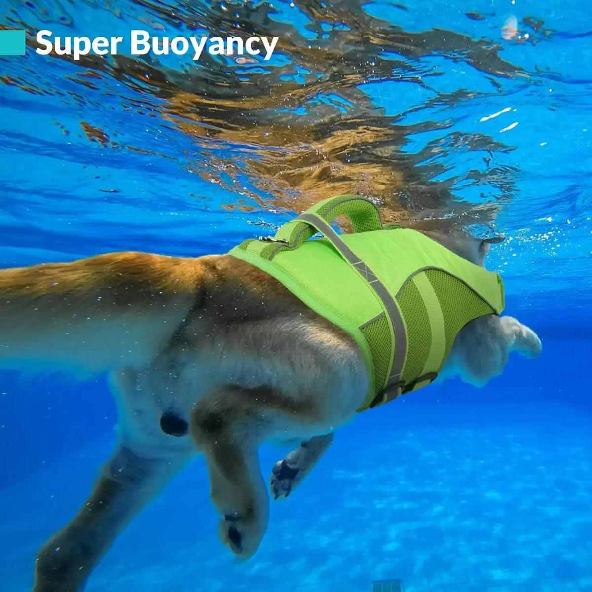 BXX Durable Mesh Dog Life Jacket With Reflective Rescue Handle