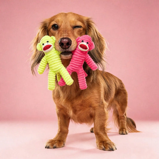Hollypet Plush Armadillo Squeaky Dog Toy For Chew And Play