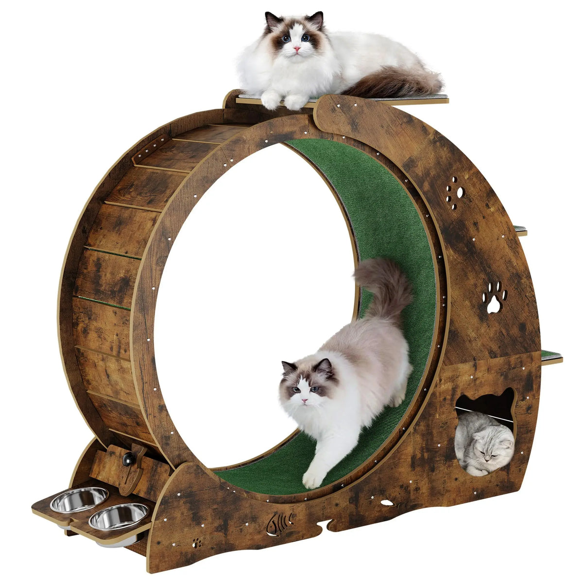 HiMiss 6 In 1 Cat Exercise Wheel With Integrated Scratcher