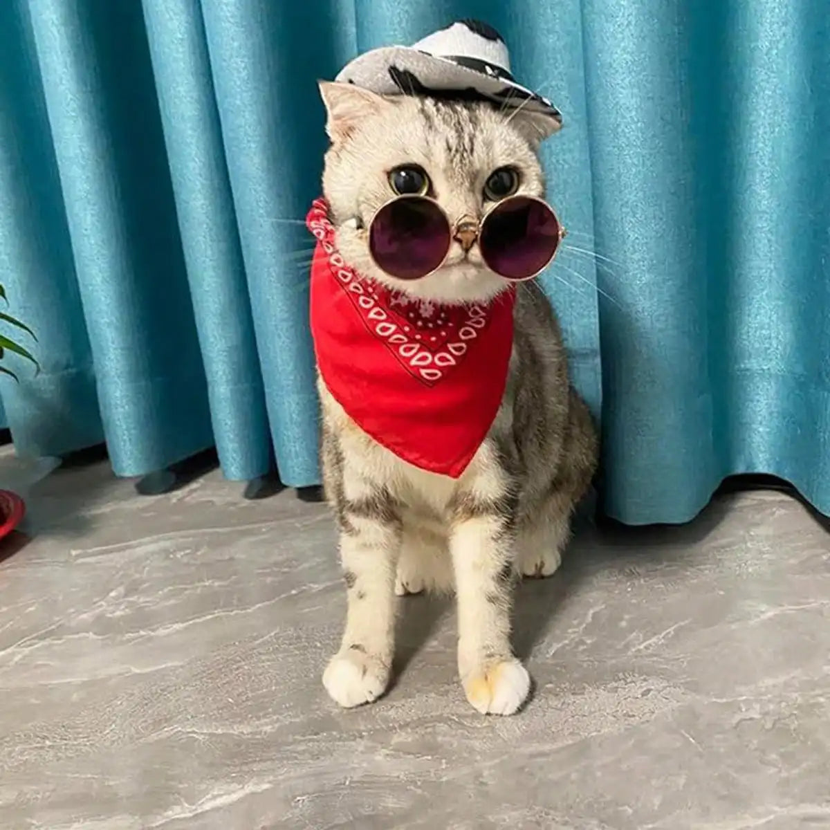 Dog Cowgirl Costume Pet Halloween Costumes Western Hat Bandana And Glasses Set For Dogs Cats