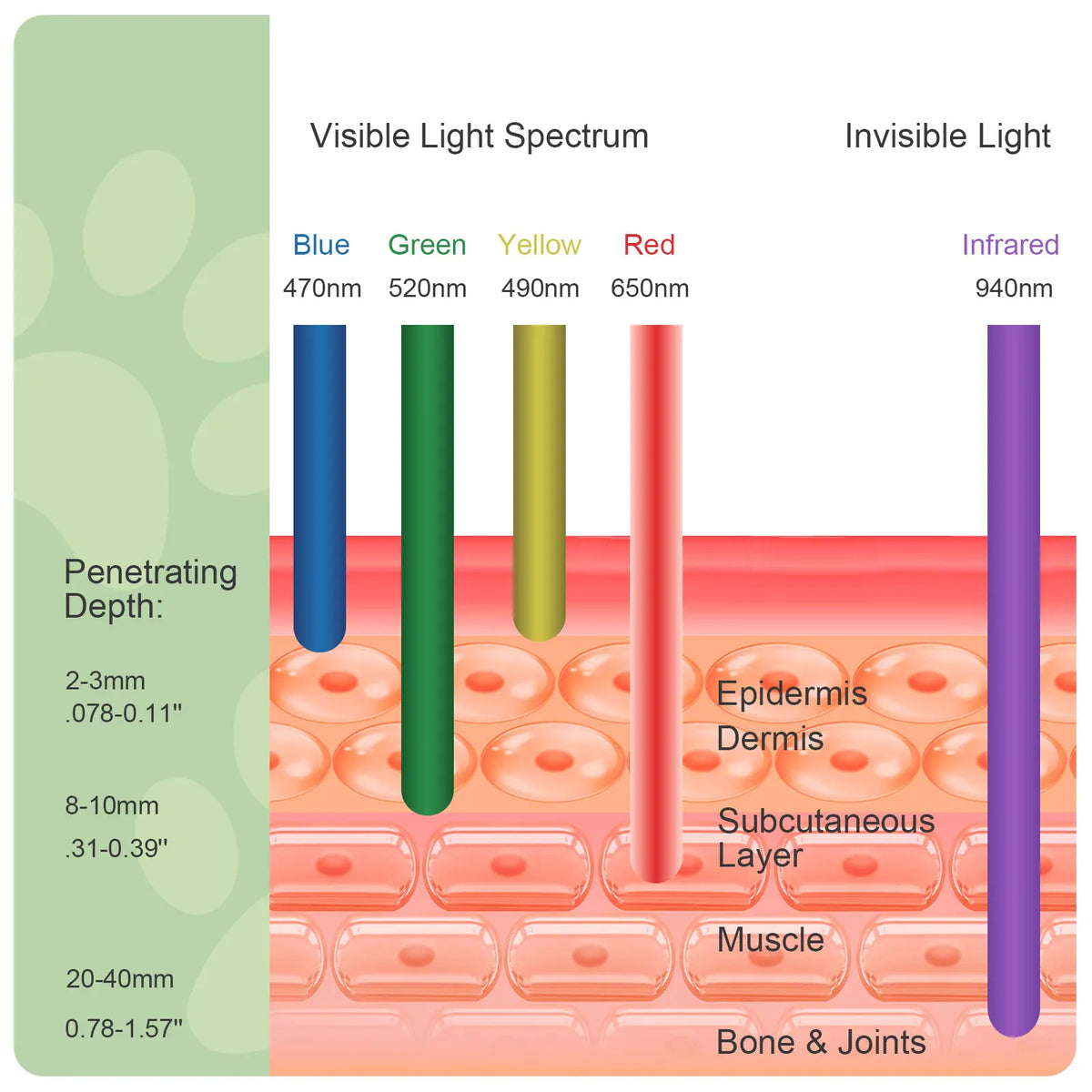 Pet Red Light Therapy Device for Dogs and Cats