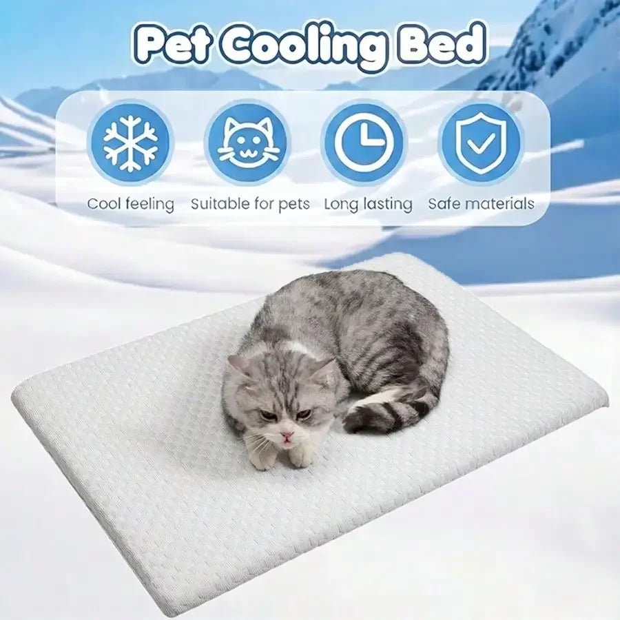 Cooling Sponge Cat Bed With Thick Padding And Washable Design