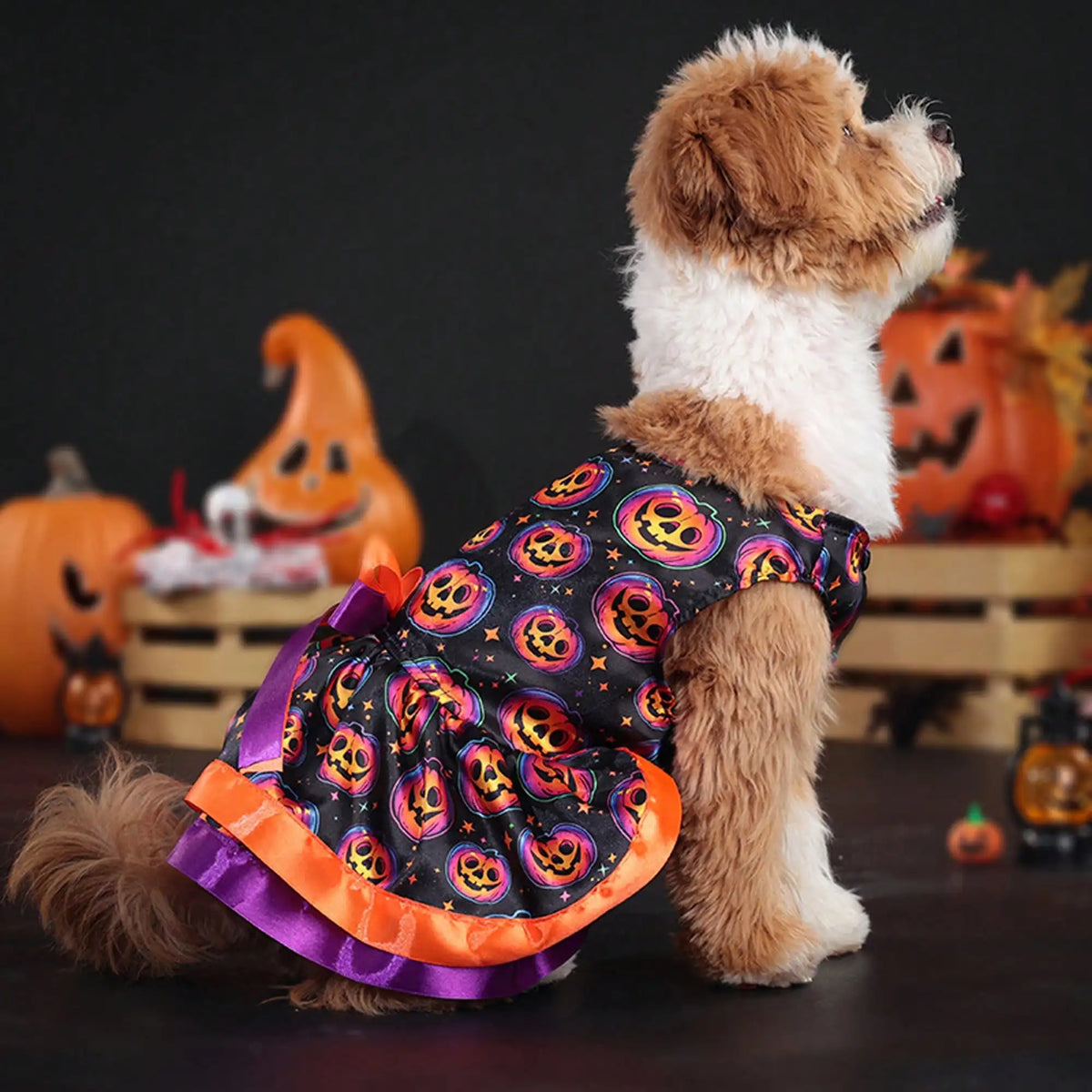 Pet Dog Dress, Funny Soft Pumpkin/Skull Print Bowknot Halloween Costume Indoor Outdoor Pet Supplies