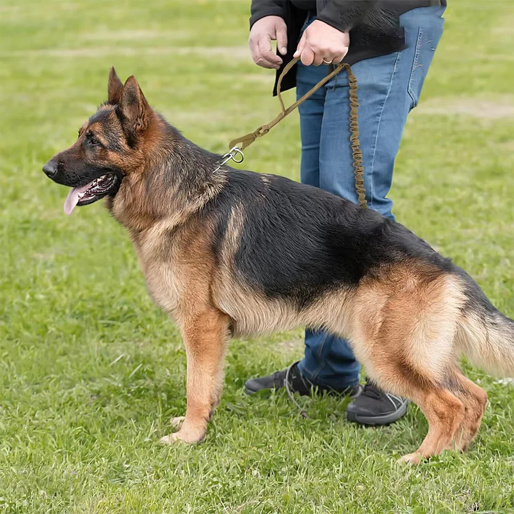 Military Dog Leash With Adjustable Quick Release And Dual Handles