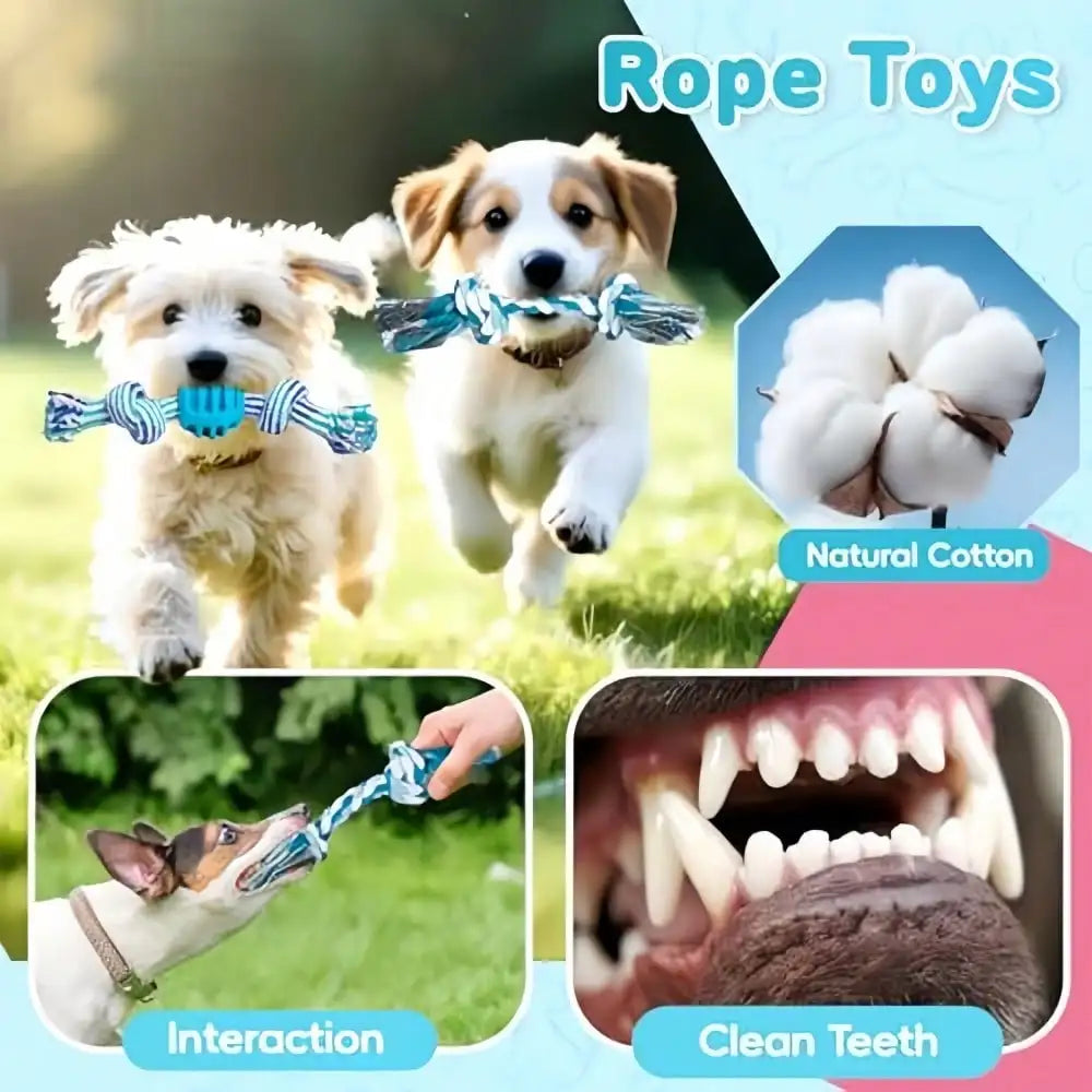 4/8pcs Pet Toy Set, Cute Blue Dog Chew Toys, Dog Rope Toys, Dog Ball Toys, Suitable For Dogs, Interactive Toys For Dogs