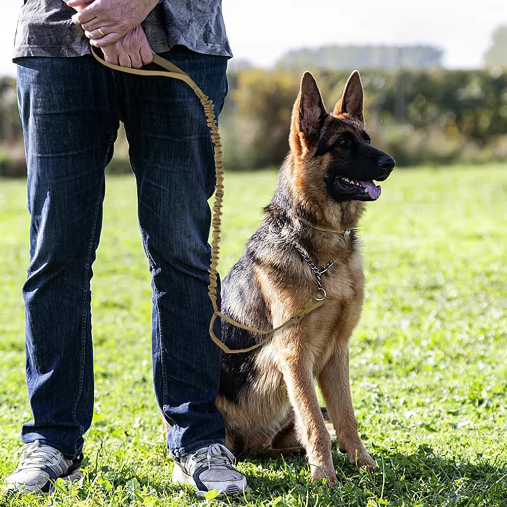 Military Dog Leash With Adjustable Quick Release And Dual Handles