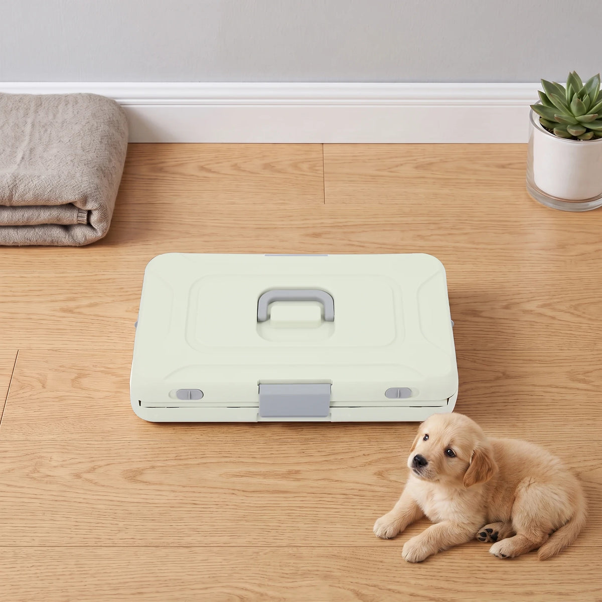 Light Green Foldable Pet Carrier, Hard PP Iron Portable Pet Cage with Breathable Holes & Clear View,  50*32*31cm/19.69*12.6*12.2in Unfolded, Internal Load 20kg/44.09lbs, for Cats Small Dogs Travel