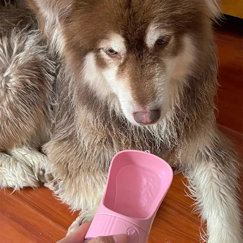 Portable Two In One Glass Pet Water Bottle And Feeder