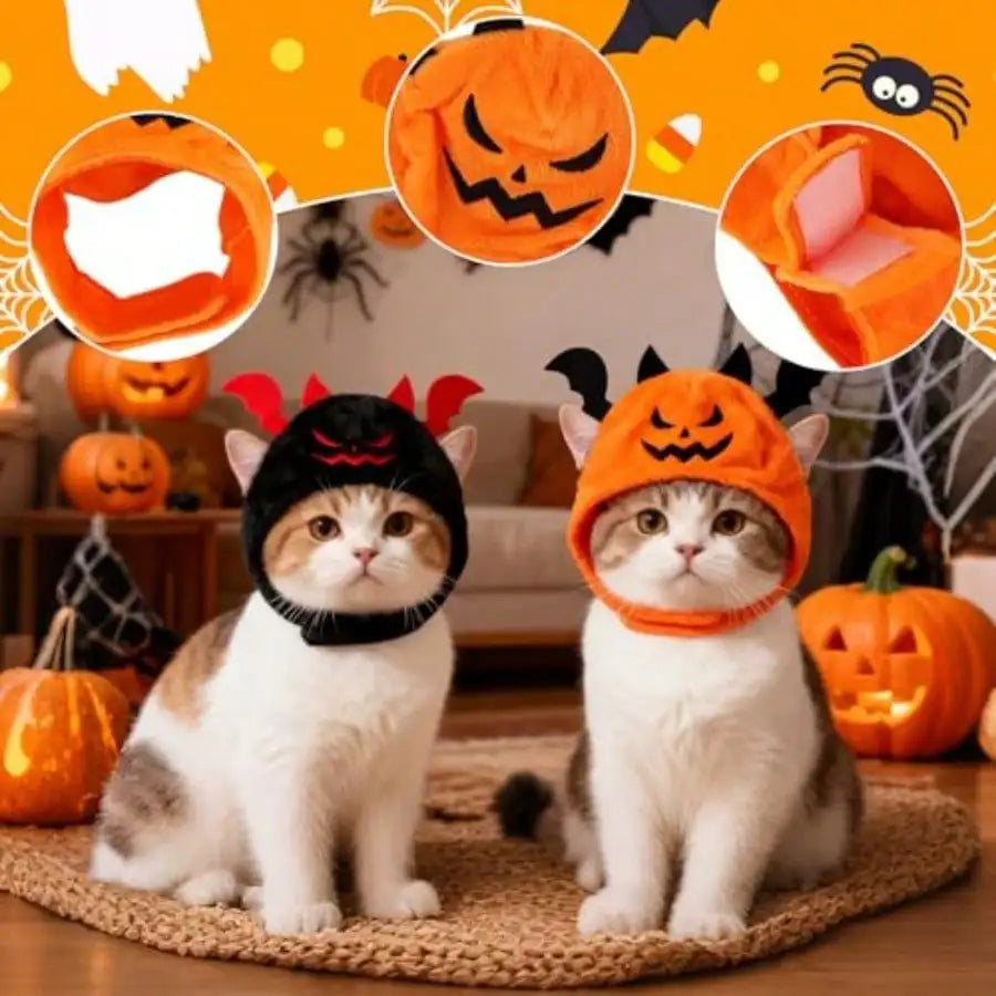 4Pcs Halloween Pet Costume, Cat Pumpkin And Bat Costume With Two Halloween Style Square Scarves