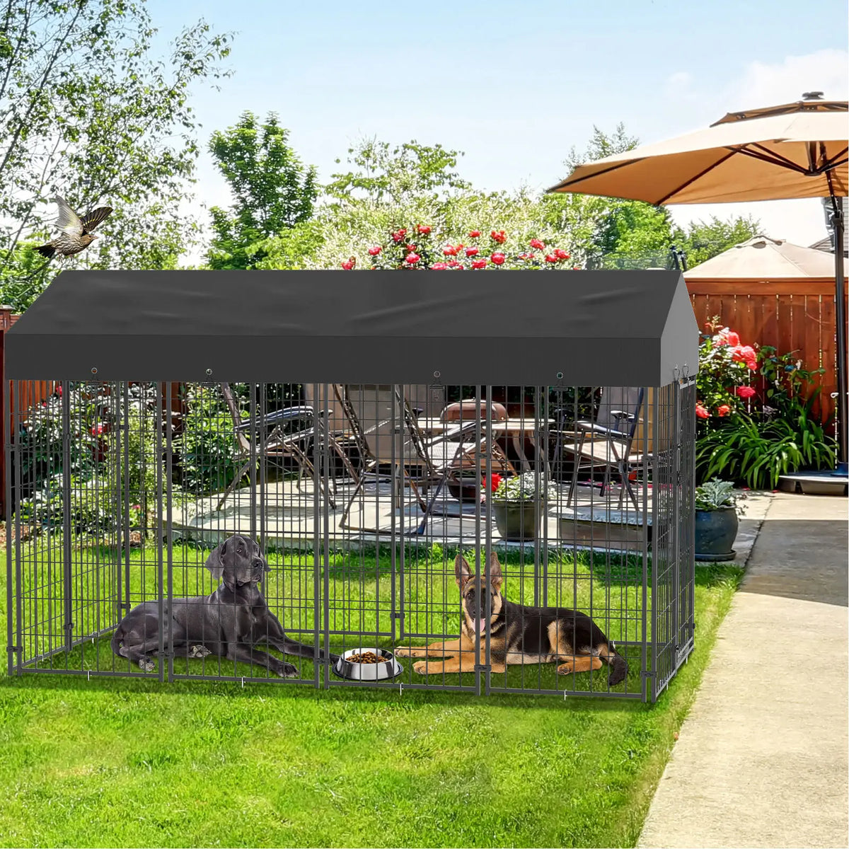 Outdoor Dog Cage Playpen Enclosure With Roof And Fence