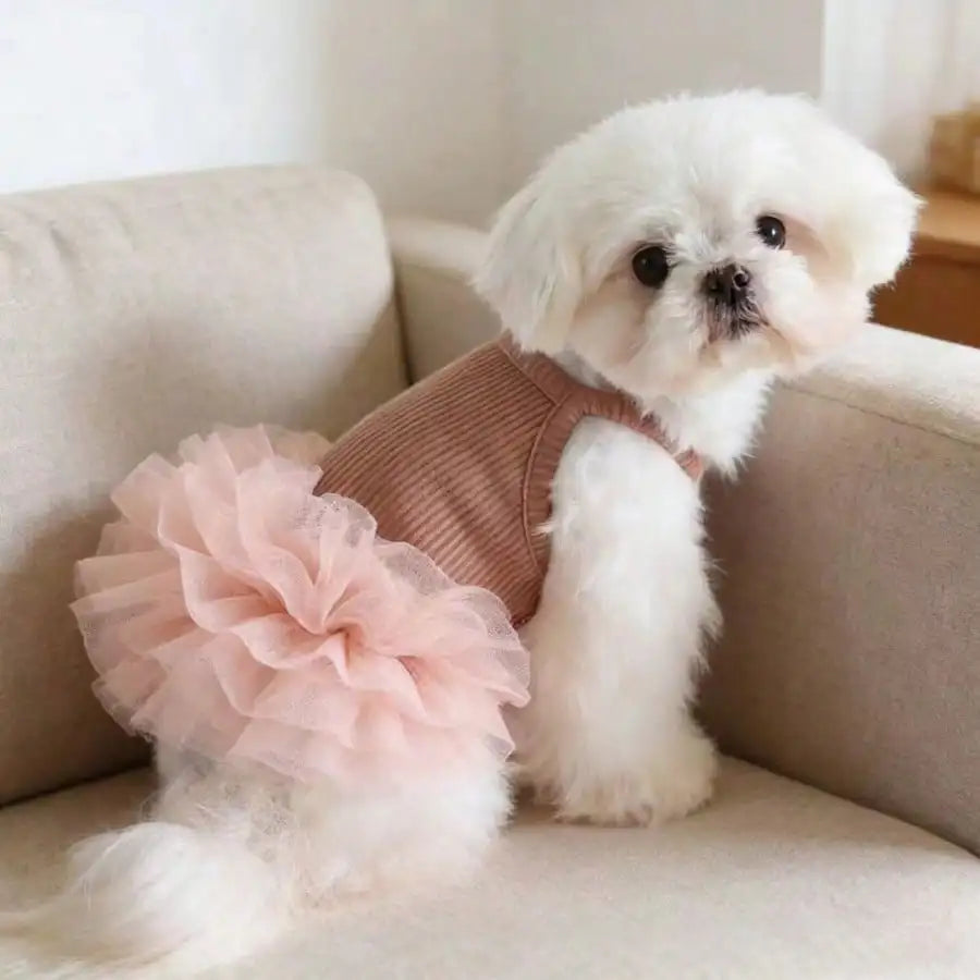 Elegant Ballet Tulle Dress for Small Dogs and Cats