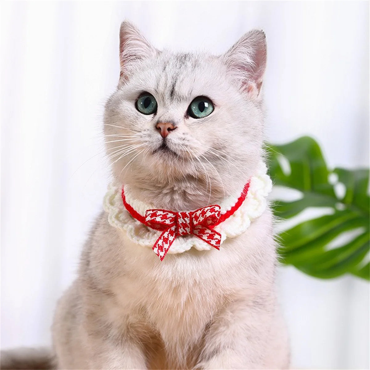 Cute Bow Knot Hand-Knitted Pet Collar For Dogs Cats