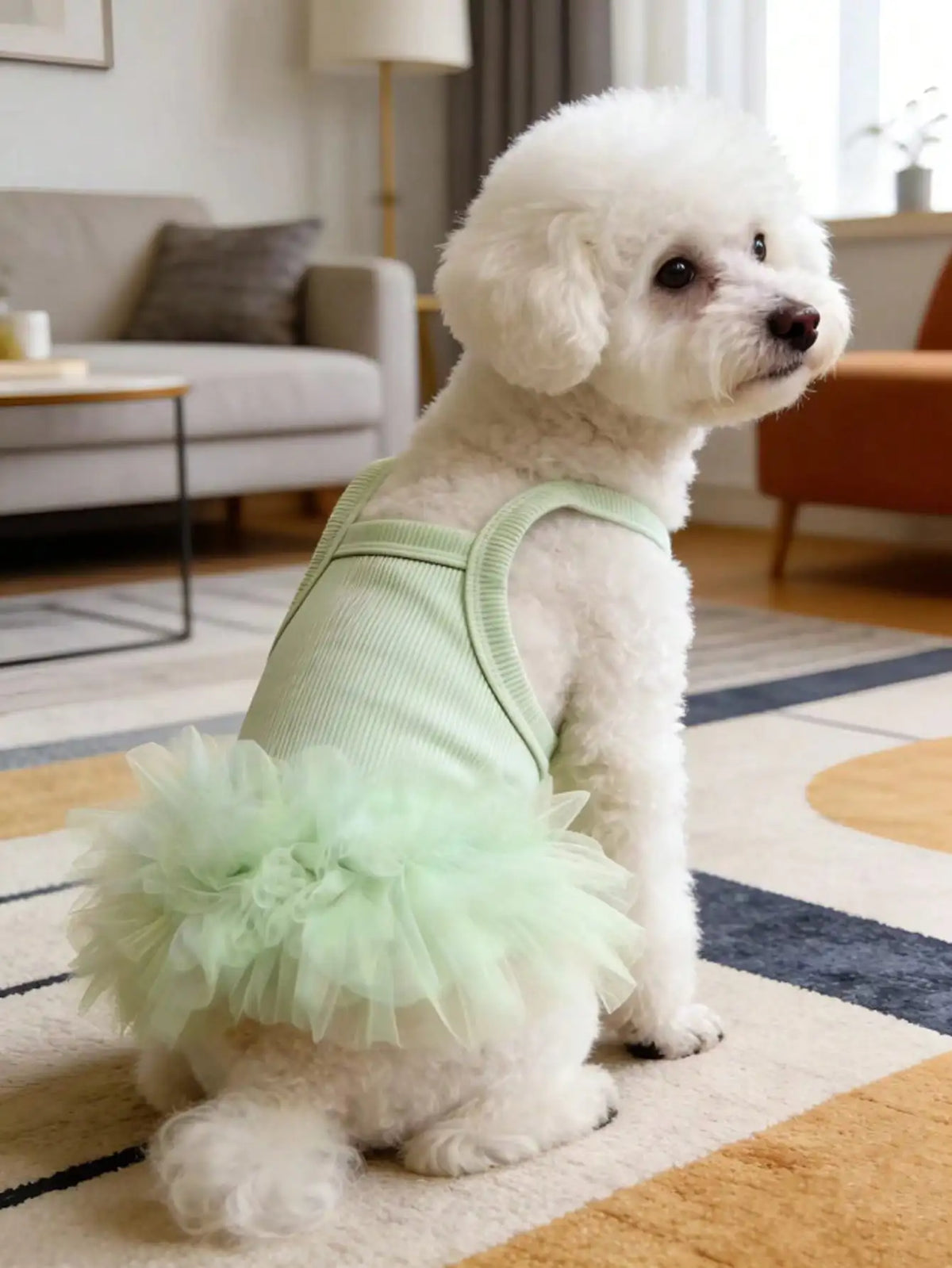 Elegant Ballet Tulle Dress for Small Dogs and Cats